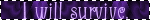 Blink Banner 19